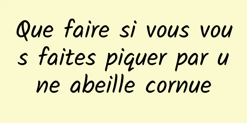 Que faire si vous vous faites piquer par une abeille cornue