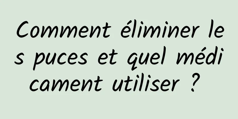 Comment éliminer les puces et quel médicament utiliser ? 