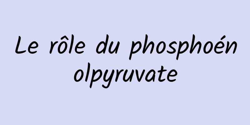 Le rôle du phosphoénolpyruvate