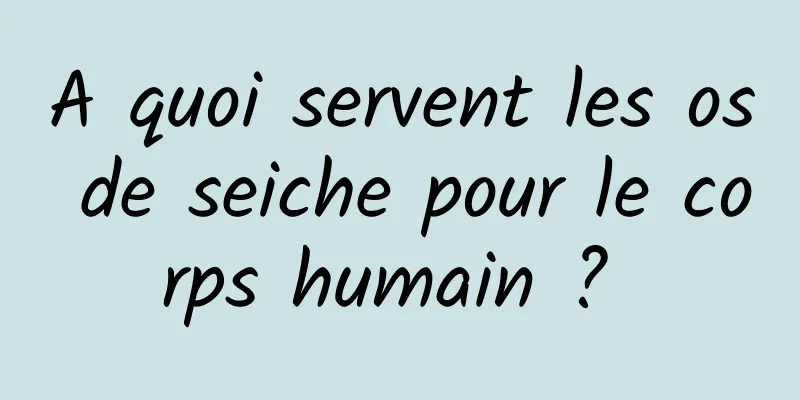 A quoi servent les os de seiche pour le corps humain ? 