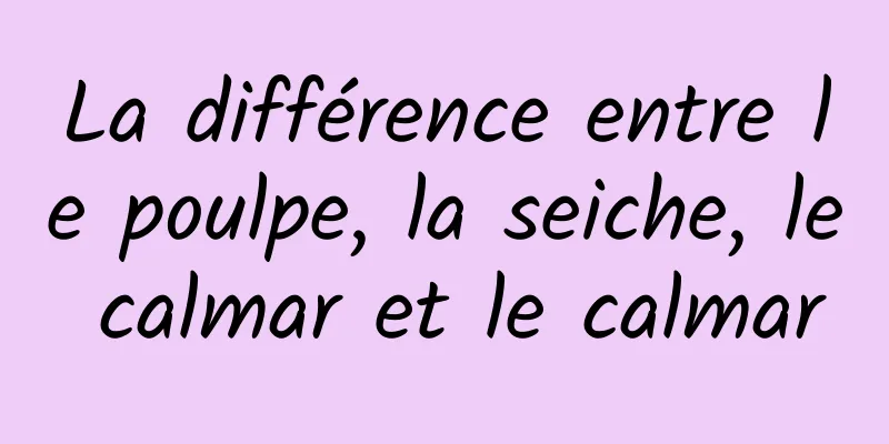 La différence entre le poulpe, la seiche, le calmar et le calmar