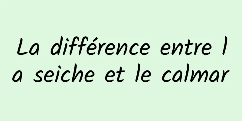 La différence entre la seiche et le calmar