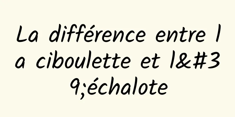 La différence entre la ciboulette et l'échalote