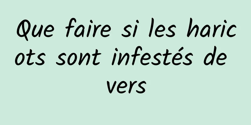 Que faire si les haricots sont infestés de vers