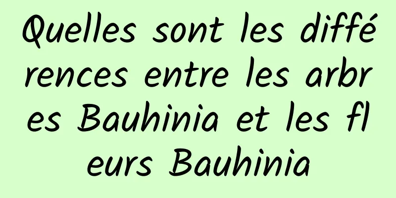 Quelles sont les différences entre les arbres Bauhinia et les fleurs Bauhinia