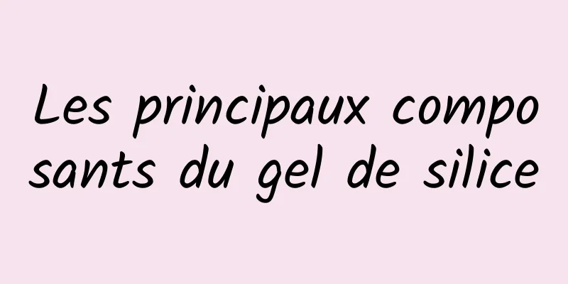 Les principaux composants du gel de silice