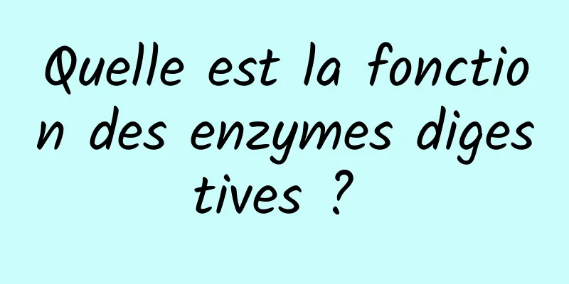 Quelle est la fonction des enzymes digestives ? 