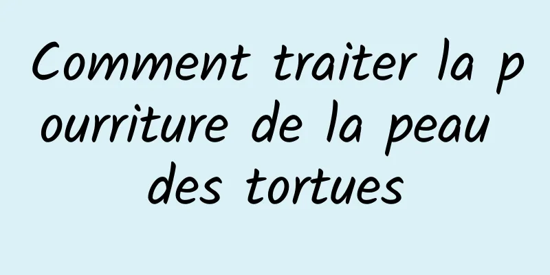 Comment traiter la pourriture de la peau des tortues