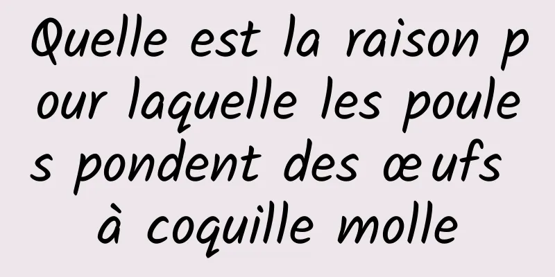 Quelle est la raison pour laquelle les poules pondent des œufs à coquille molle