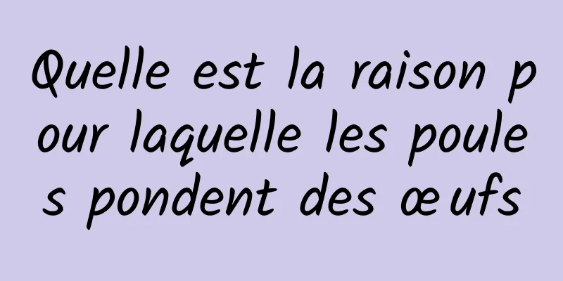 Quelle est la raison pour laquelle les poules pondent des œufs