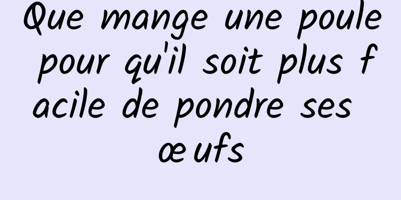 Que mange une poule pour qu'il soit plus facile de pondre ses œufs