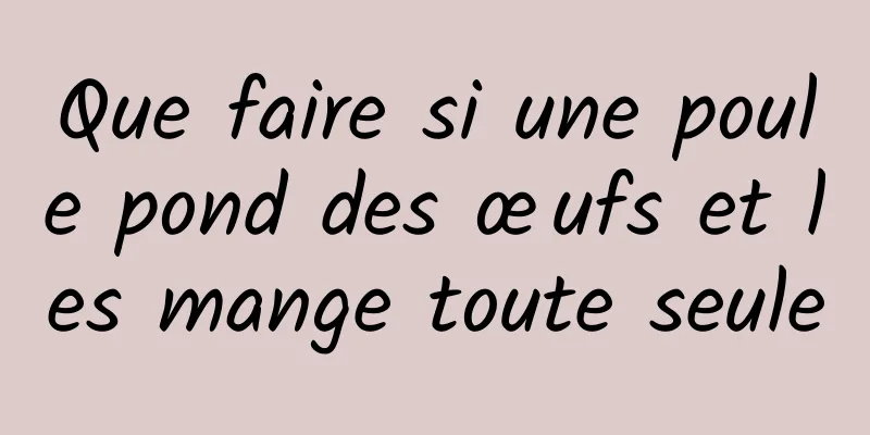 Que faire si une poule pond des œufs et les mange toute seule