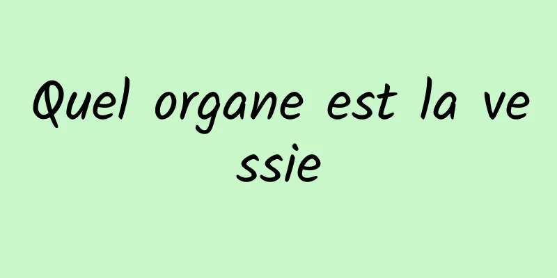 Quel organe est la vessie