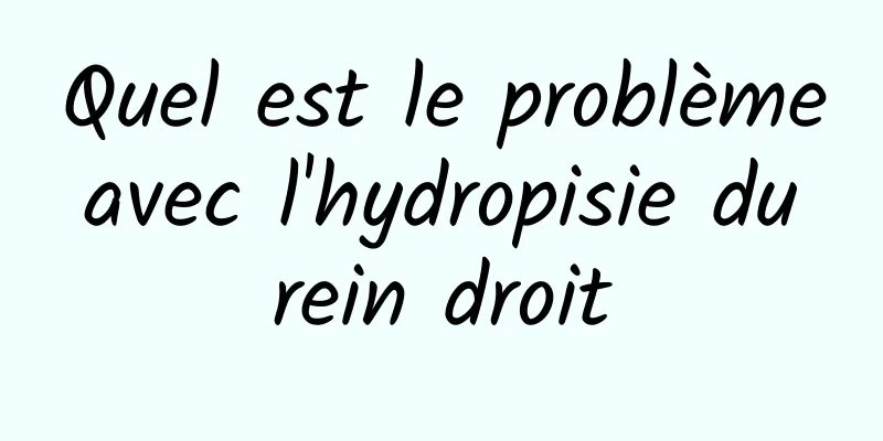 Quel est le problème avec l'hydropisie du rein droit