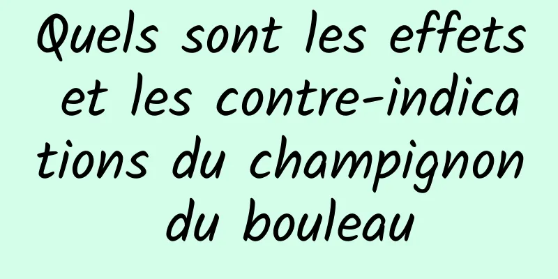 Quels sont les effets et les contre-indications du champignon du bouleau