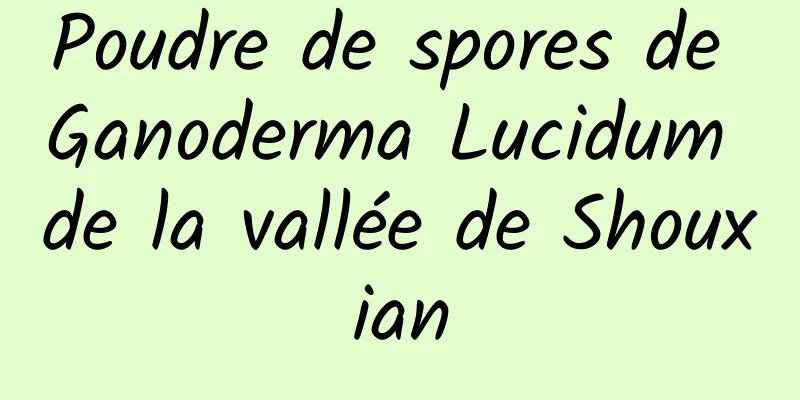 Poudre de spores de Ganoderma Lucidum de la vallée de Shouxian