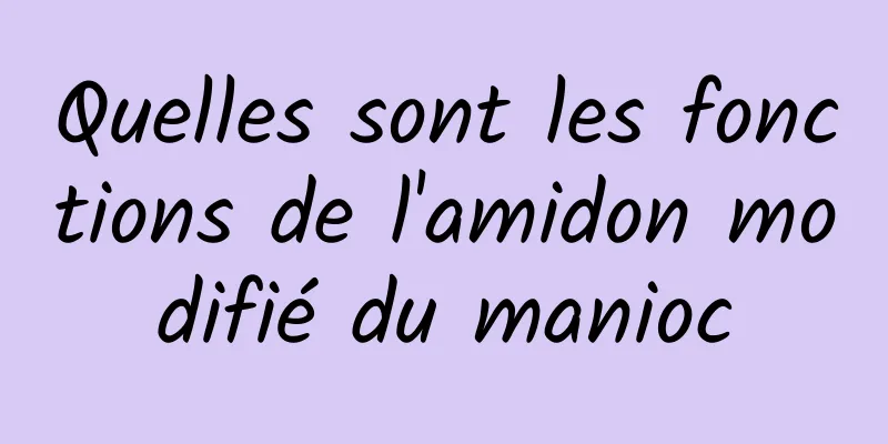 Quelles sont les fonctions de l'amidon modifié du manioc