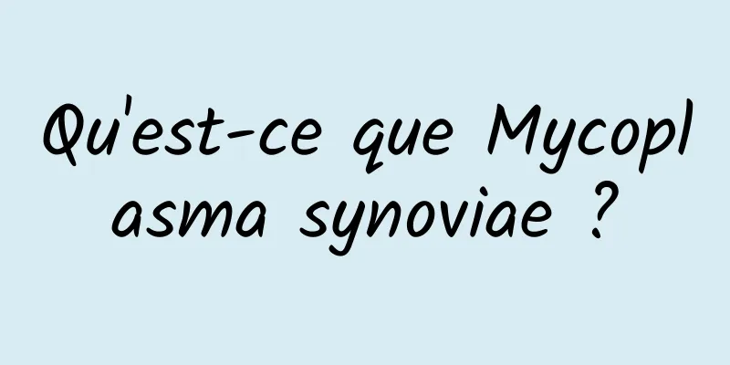 Qu'est-ce que Mycoplasma synoviae ?