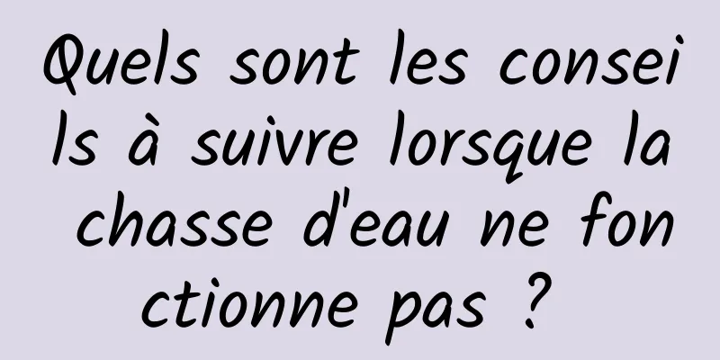 Quels sont les conseils à suivre lorsque la chasse d'eau ne fonctionne pas ? 