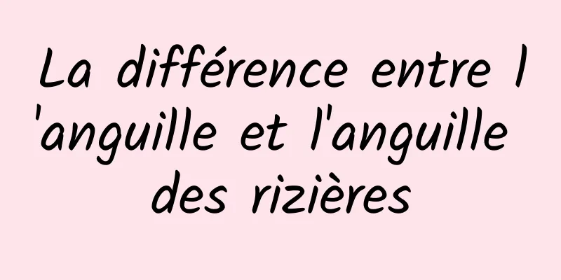 La différence entre l'anguille et l'anguille des rizières