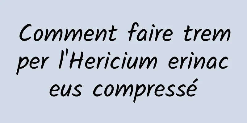 Comment faire tremper l'Hericium erinaceus compressé