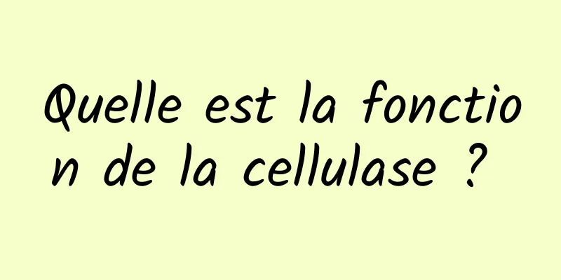 Quelle est la fonction de la cellulase ? 