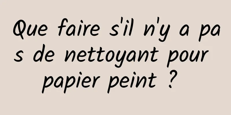 Que faire s'il n'y a pas de nettoyant pour papier peint ? 