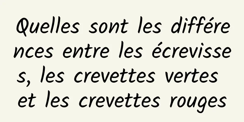 Quelles sont les différences entre les écrevisses, les crevettes vertes et les crevettes rouges