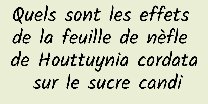 Quels sont les effets de la feuille de nèfle de Houttuynia cordata sur le sucre candi