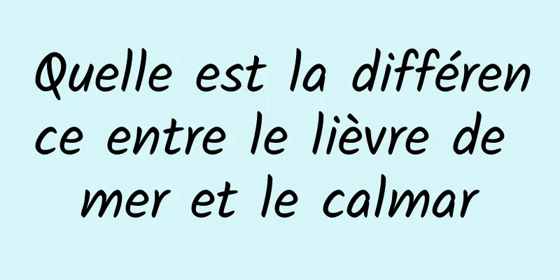 Quelle est la différence entre le lièvre de mer et le calmar