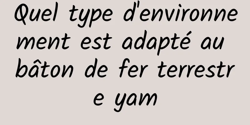 Quel type d'environnement est adapté au bâton de fer terrestre yam