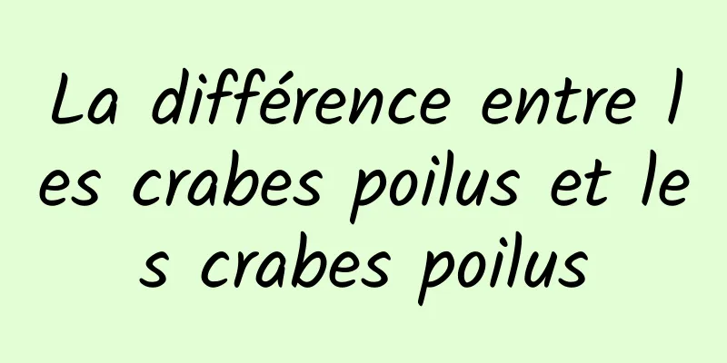 La différence entre les crabes poilus et les crabes poilus