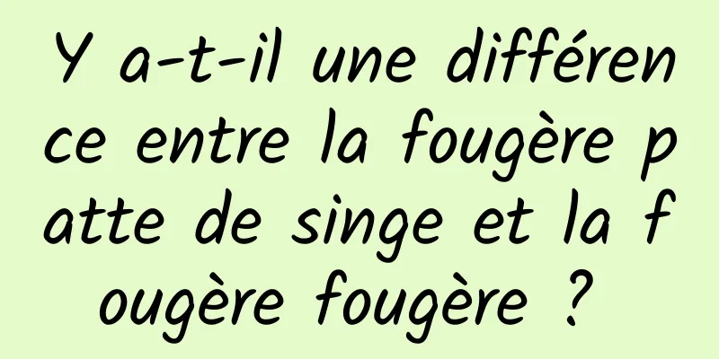 Y a-t-il une différence entre la fougère patte de singe et la fougère fougère ? 