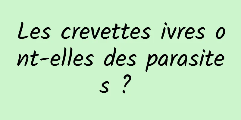 Les crevettes ivres ont-elles des parasites ? 