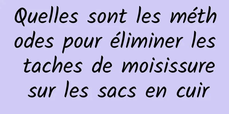 Quelles sont les méthodes pour éliminer les taches de moisissure sur les sacs en cuir