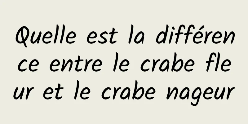 Quelle est la différence entre le crabe fleur et le crabe nageur