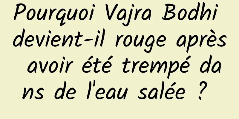 Pourquoi Vajra Bodhi devient-il rouge après avoir été trempé dans de l'eau salée ? 