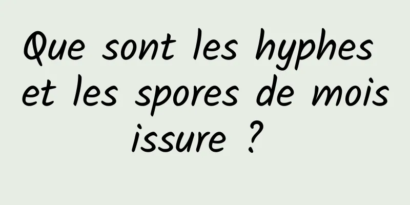 Que sont les hyphes et les spores de moisissure ? 