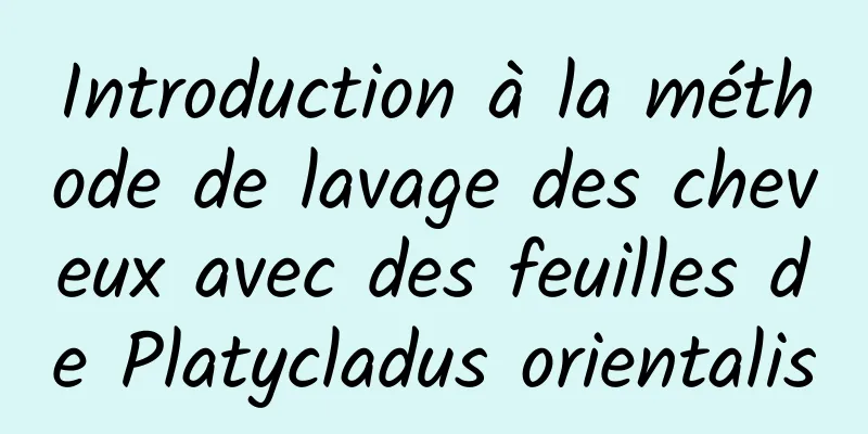 Introduction à la méthode de lavage des cheveux avec des feuilles de Platycladus orientalis