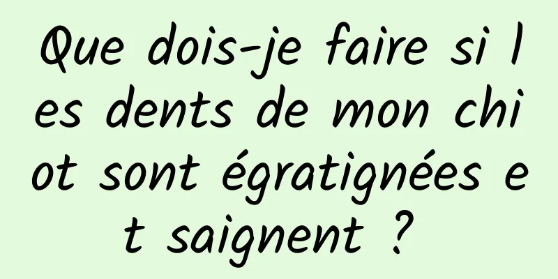 Que dois-je faire si les dents de mon chiot sont égratignées et saignent ? 