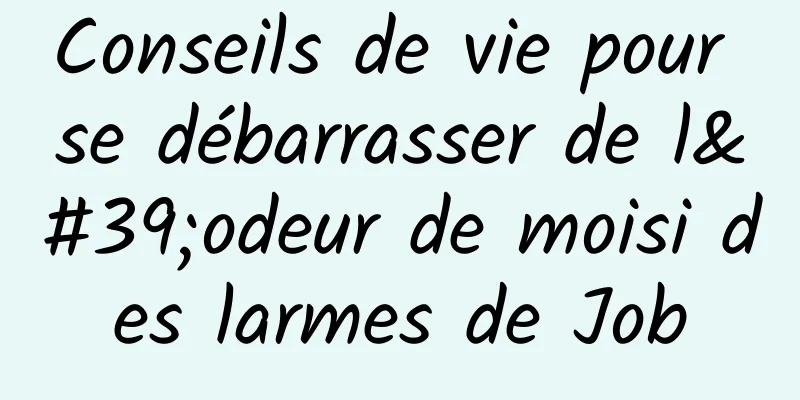 Conseils de vie pour se débarrasser de l'odeur de moisi des larmes de Job