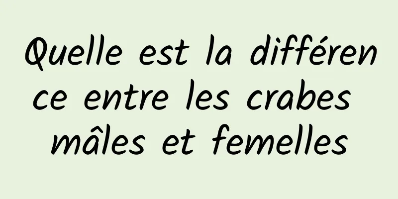 Quelle est la différence entre les crabes mâles et femelles