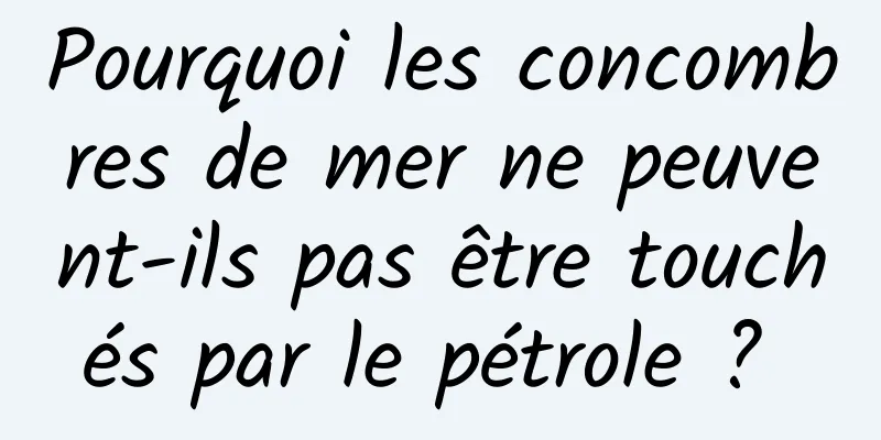 Pourquoi les concombres de mer ne peuvent-ils pas être touchés par le pétrole ? 