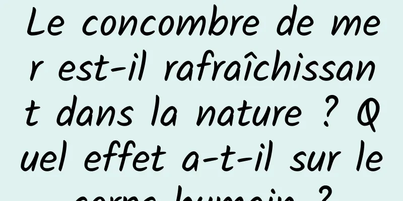 Le concombre de mer est-il rafraîchissant dans la nature ? Quel effet a-t-il sur le corps humain ? 