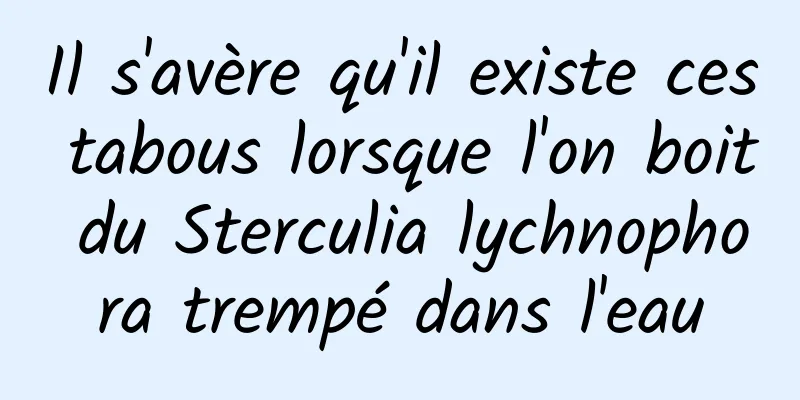 Il s'avère qu'il existe ces tabous lorsque l'on boit du Sterculia lychnophora trempé dans l'eau