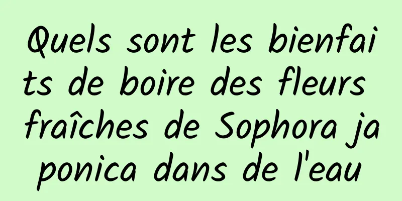 Quels sont les bienfaits de boire des fleurs fraîches de Sophora japonica dans de l'eau