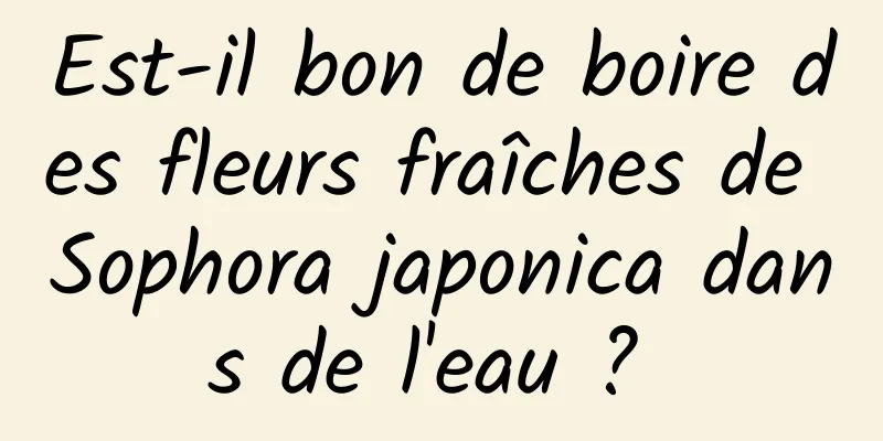 Est-il bon de boire des fleurs fraîches de Sophora japonica dans de l'eau ? 