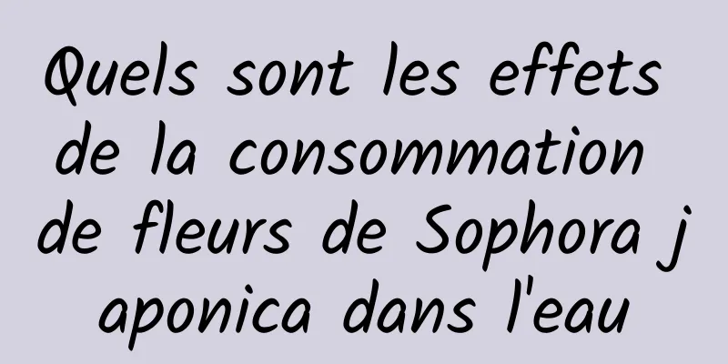 Quels sont les effets de la consommation de fleurs de Sophora japonica dans l'eau