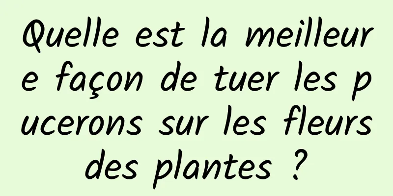 Quelle est la meilleure façon de tuer les pucerons sur les fleurs des plantes ? 