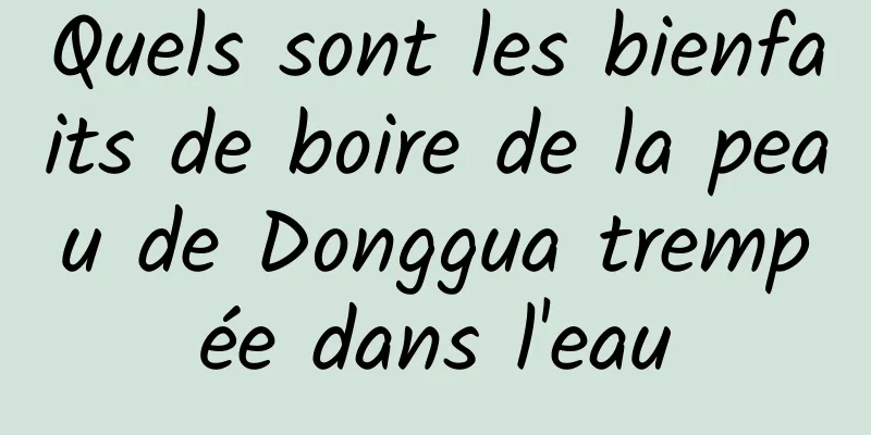 Quels sont les bienfaits de boire de la peau de Donggua trempée dans l'eau